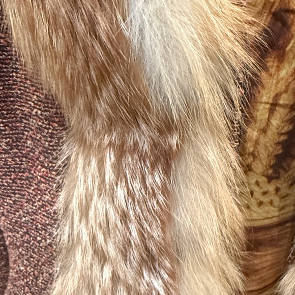 Jacket - Picture 3 of 9